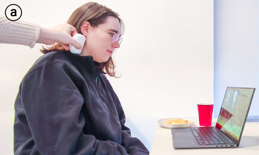 AppetiteCheck: Feasibility of Momentary Vagus Nerve Stimulation as an Implicit Intervention for Eating Behavior